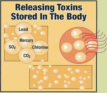 19-toxins